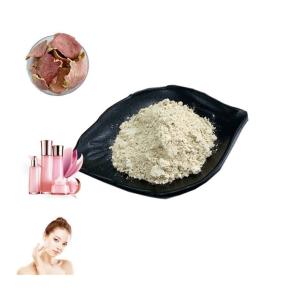 Buy cheap Anti Mutation Pomegranate Extract Ellagic Acid 40% For Sedation Antioxidation from wholesalers