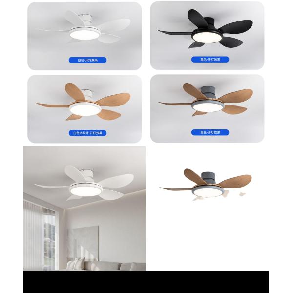 Wholesale, manufacturer, factory,batch,tailered, customized Custom 110V-220V Electric Indoor Frequency Conversion Remote Control LED Ceiling Fan Light