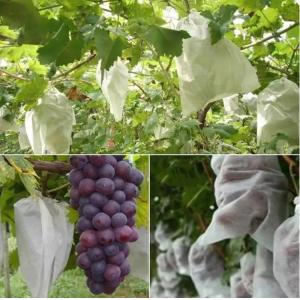 Buy cheap Waterproof Plant Protection Bag To Protect Grapes Vegetable Practical product