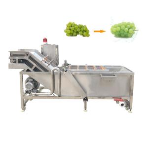 Buy cheap Fresh Ginger Industrial Washing Machine 100Kg Malaysia from wholesalers