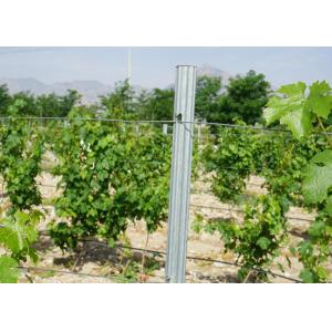 Buy cheap High Performance Dipped Galvanized Orchard Trellis Systems Eco Friendly from wholesalers