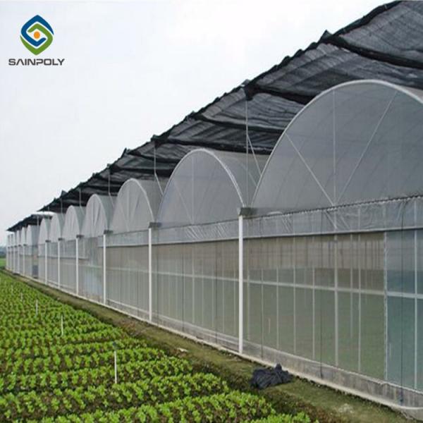 Quality 10ft Plastic Film Greenhouse With Hydroponic Growing Systems for sale