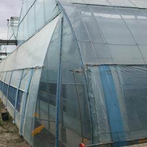 Buy cheap Multi-Span Agricultural Greenhouses Advanced Hydroponic Growing System for Section 4m/8m from wholesalers