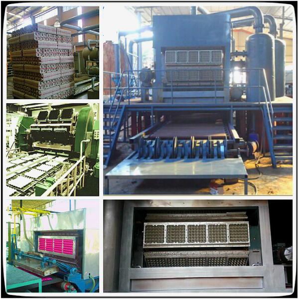 Buy cheap Waste Paper Pulp Egg Tray Machine from wholesalers