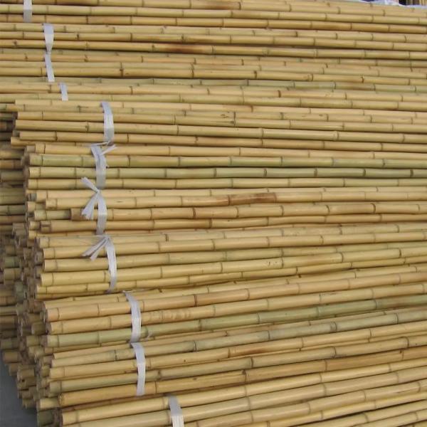 Bamboo Garden Stakes Rods Garden Sticks Bamboo Plant Stakes for Beans Peas