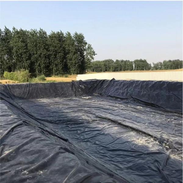 Quality 1.0mm HDPE Geomembrane for Artificial Lake Double Smooth Surface Graphic Design Solution for sale
