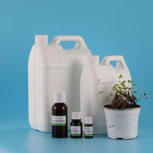 High Purity Spearmint Toothpaste And Mouthwash Perfume Essential Fragrance Oil