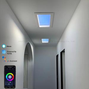 Buy cheap Smart Tuya Circadian LED Skylight with Adjustable CCT from wholesalers