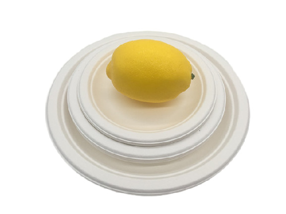 Quality Waterproof 12 Inch Tableware Sugarcane Pulp Plates for sale