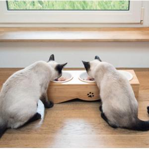 Buy cheap Raised Ceramic 3 Puppy Bowl Set Triple With Bamboo Stand from wholesalers