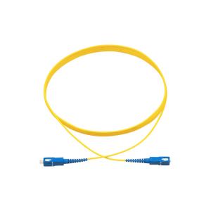 3meters 2.0mm SC UPC-SC APC Simplex Single Mode G652D Optical Fiber Patch Cord