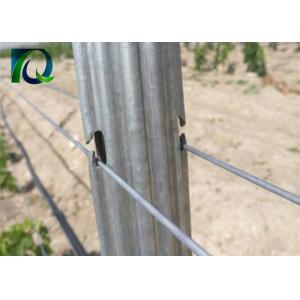 Buy cheap Steel Metal 1.8m Vineyard Trellis Posts For 1.6-3.0MM Wire from wholesalers