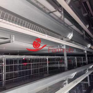 Buy cheap Stable Performance Layer Chicken Cage System in Morocco from wholesalers
