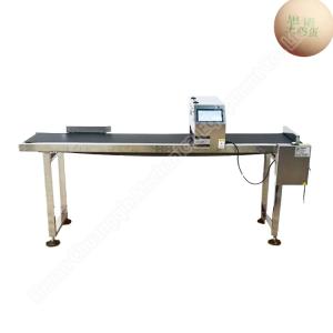 Automatic Egg Coding Machine Inject Printing Machine Small For Eggs Expiry Date