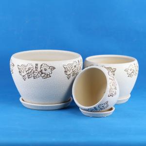 Transform Your Garden With Our Stylish And Durable Ceramic Pots Shop Now