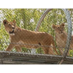 Stainless Steel Lion Enclosure Wire Rope Mesh-lion wire mesh