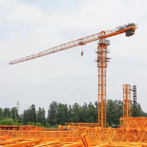 Buy cheap Brazil Mini Crane 1 Ton Capacity Internal Climb Tower Crane with 40 m/min Hoisting and 0.5-1 t Hoisting from wholesalers