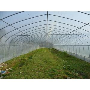 Buy cheap Single Layer Plastic Film Greenhouse Versatile For Agricultural Applications from wholesalers