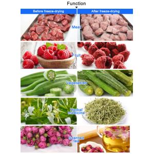 Buy cheap ISO Commercial Freeze Dry Machine For Meat Fruit Vegetable from wholesalers