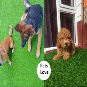 Buy cheap Factory Customized Lawn Decorative Grass Wall Turf Grass Garden Artificial Turf For Rooftop  Artificial Grass from wholesalers