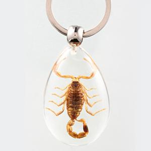 Buy cheap 20pcs Resin Insect Specimen Keychain As Beautiful Fashion Key Chain product
