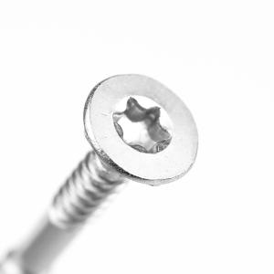 Buy cheap Stainless Steel Torx Double Thread Gypsum Plasterboard Screw with Pozidriv Drive Type from wholesalers