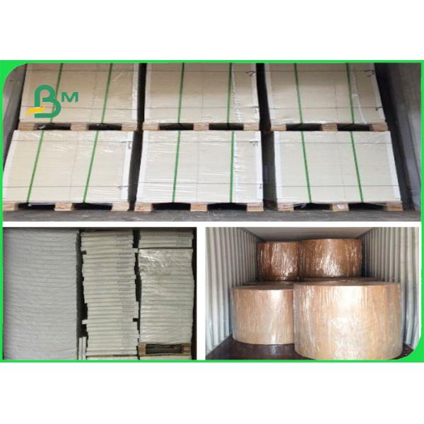 Plastic Coated Kraft Paper FSC & FDA 30 - 350 GSM / Kraft Paper With Plastic Coated Food Packing Paper