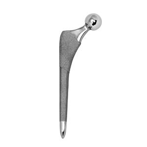 Buy cheap Cemented Artificial Joints Collarless Hip Stem Implantable Artificial Organs from wholesalers