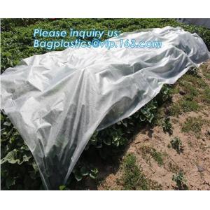 Frost Protection Perfect For Fruit Tree, Patio Trees, Raised Bed Vegetables,