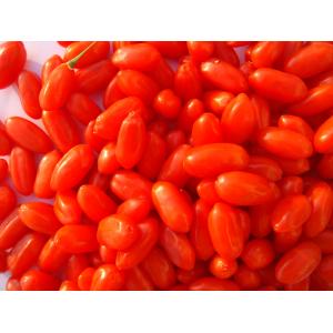 Buy cheap Amorberry Goji Berry/Wolfberry/Lycium Barbarum Medlar wholesale with high quantity from Ningxia factory from wholesalers