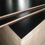 Buy cheap Film faced WBP 1220*2440mm Brown black cheap shuttering plywood in concrete from wholesalers