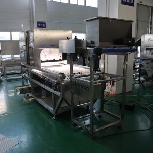 Buy cheap Customized Color Sorter Machine with Advanced AI dehydrated vegetables Sorting from wholesalers