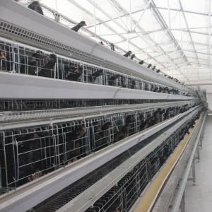 Buy cheap Galvanized H410mm Poultry Battery Cage , 494cm2/Bird Egg Laying Equipment from wholesalers