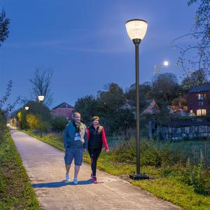 Buy cheap IP65 No Wiring LED Solar Garden Lamp With Battery 3.2/26000mAh, Courtyard Decorative Solar Street Lights from wholesalers