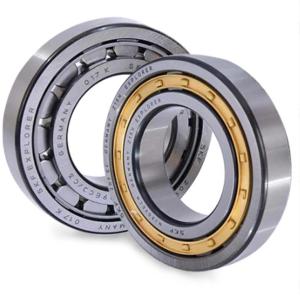 China SKF NJ209ECM Cylindrical Roller Bearing 85mm OD 19mm Width on sale