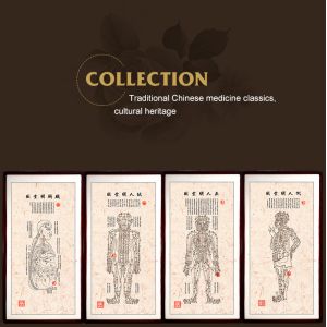 Buy cheap CE Certified Basic Cupping Cups Cupping Set Hijama Kits Comprehensive Solution for Therapeutic and Wellness Applications from wholesalers