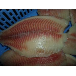 Buy cheap Thailand Origin Fresh Frozen Seafood / Bulk Frozen Fish Tilapia Fillet from wholesalers