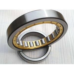 China GCr15 Double Row SL014838 Cylindrical Roller Bearings on sale
