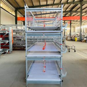 China 1500x1000 Mm Size Broiler Cage Poultry Drinking System on sale