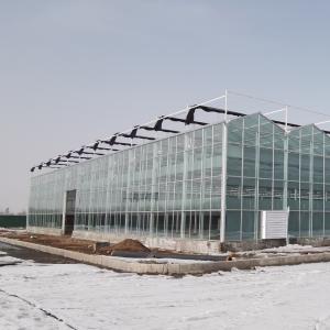 Customized Hydroponics Greenhouse with Climate Control System and Double Layer