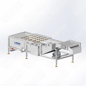 Buy cheap Custimized Tank Farm Ultrasonic Lotus Root Comercial Washing Machine Laundry from wholesalers