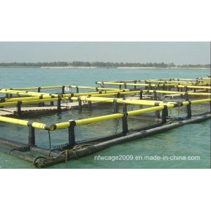 HDPE Floating Fish Cage with Long Life and Easy Net Replacement Featuring Grid