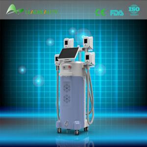 China new innovative product cryolipolysis machine