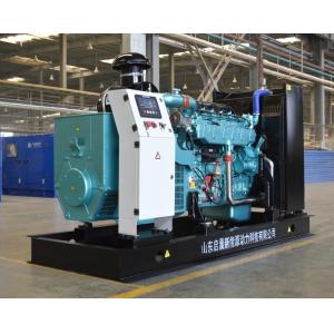 Gas Generator 500kVA, Biogas Generator, Natural Gas Generator/LPG Generator