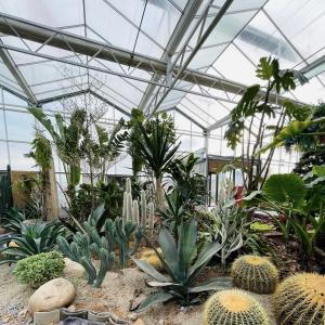 Buy cheap Customized Request Glass Greenhouse with Flower System and Customized Roofing Shape from wholesalers