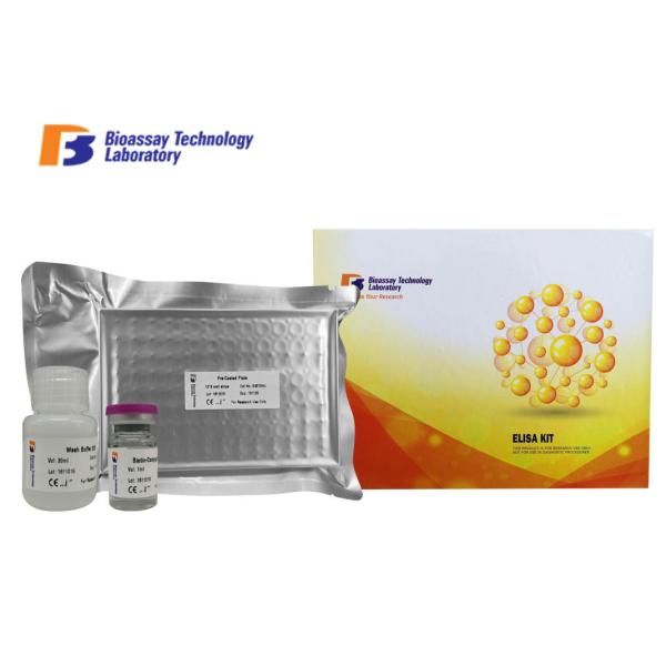 Buy cheap High Precision Rat ELISA Kit , Galectin 3 Sandwich ELISA Kit Laboratory Research from wholesalers