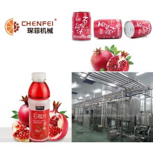 Buy cheap Guava Fruit Juice Processing Equipment SS304 Material CFM-B-03-26T Silver Color from wholesalers