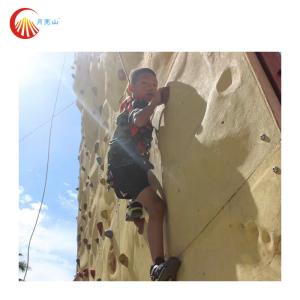 Buy cheap Removable Rock Climbing Practice Board Wall Fiberglass For Trampoline Park from wholesalers