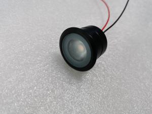 China Black Finish LED Spot Light 1W 316 Stainless Steel Material Houing IP68 Underwater Light on sale