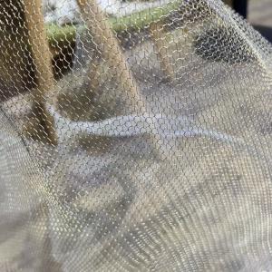 Buy cheap Stainless Steel / Copper / Brass Knitted Mesh Fabric For Filtration from wholesalers